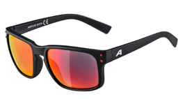 Alpina Kosmic