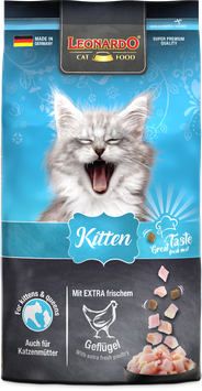 Leonardo® - Kitten