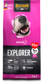 EXPLORER