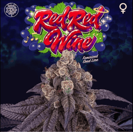 Perfect Tree Seeds - RedRedWine