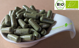 Bio Moringa Kapseln 500 mg - vegan - Premium Rohkost Qualität