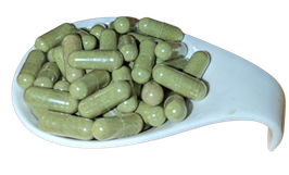 Bio Moringa Kapseln 500 mg - vegan - Premium Rohkost Qualität