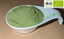 Bio Moringa Blattpulver feine Premium Rohkost Qualität