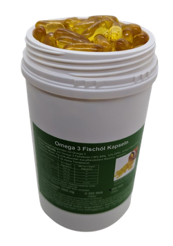 Omega 3 Fischöl Lachsöl Kapseln 1000 mg