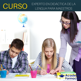 Curso Experto en Didáctica de la Lengua Para Maestros + Titulación Certificada