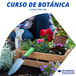 OFERTA! CURSO ONLINE DE BOTÁNICA + TITULACIÓN CERTIFICADA