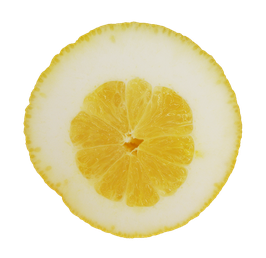 Cedro