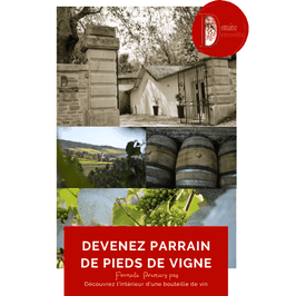 Parrainage de pied de vigne : Formule n°2 "Premiers pas"