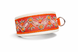 Hundehalsband Atlanta --- Zugverschluss (31cm)