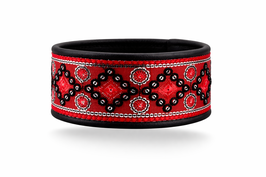 Windhundhalsband Sisu --- Kettenverschluss  (30 cm)