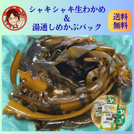 【予約販売】シャキシャキ生わかめ（500g前後）湯通しめかぶ90ｇ×2個