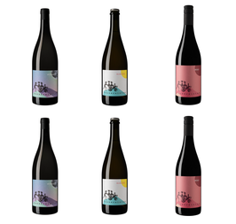 GET TO KNOW THE SISTAS*