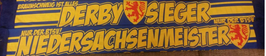Braunschweig Derbysieger Seidenschal