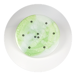 Schale mit Pfötchen in Lindgrün