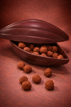 Cabosse en chocolat noir