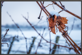 Digitale Bilddatei "Winterschlaf"