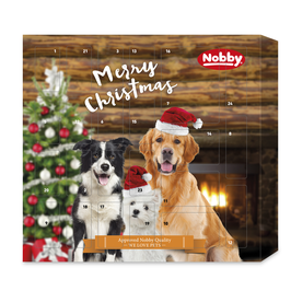 Hunde-Adventskalender 2024