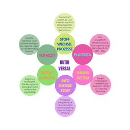 NUTRIVERSAL* - INTENSIV WORKSHOP - 8-Tages-Challenge