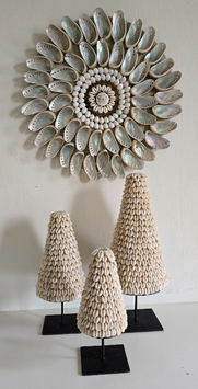 Kerstboom Kauri
