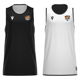 MACRON X500 Wendeshirt schwarz-grau mit kleinem Dragons Logo und Wunschname