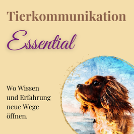 Onlinekurs Tierkommunikation "Essential"