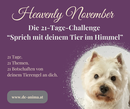 21-Tage-Challenge "Heavenly November"