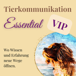 Onlinekurs Tierkommunikation "Essential VIP"