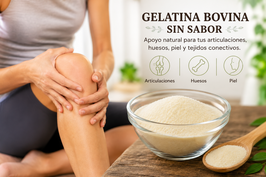 Gelatina Bovina
