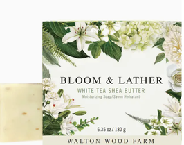 Cucumber & Olive OIl Soap & Body Butter