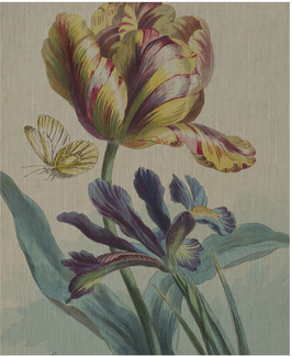 Flower and Butterfly