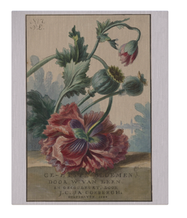 No 7 Flower Ad