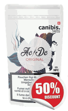 Canibis "AC/DC Indoor"