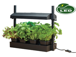 Mini Gewächshaus "Micro Grow"
