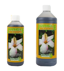 Jungle Bloom