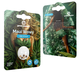 CBD Hanfsamen "Maui Wowy"