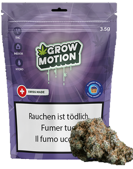 Grow Motion "Blueberry Muffin Indoor"