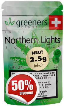 Greeners Northern Lights Indoor