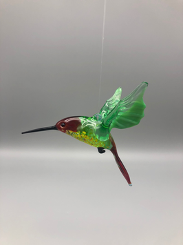 HUMMINGBIRD IN BORDEAUX/GREEN/BORDEAUX