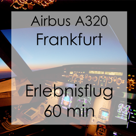 Erlebnisflug 1 Stunde Frankfurt