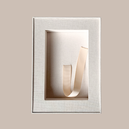 Interior tray
