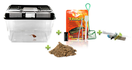 Triops Edition klein