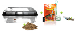 Triops Edition gross