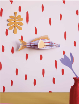 Studio Roof Longnose Hawkfish