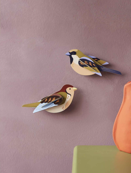 Studio Roof Sparrows