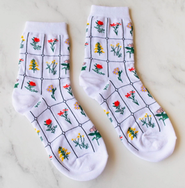 Socken Botanical Gaarden