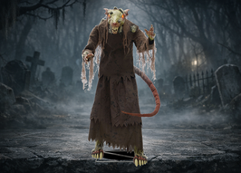 Zerlumpte Ratte