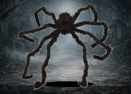 Spinne 128 cm schwarz-braun