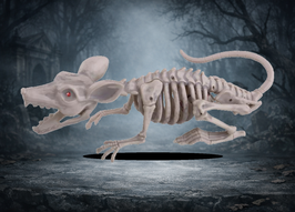 Skelettratte