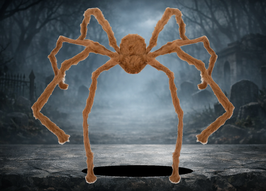 Spinne 128 cm braun