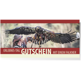 Gutschein Erlebnis-Tag mit einem Falkner